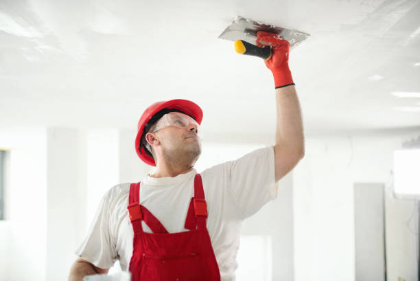 Best Residential Painting  in Sausalito, CA